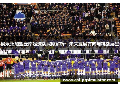 侯永永加盟云南足球队深度解析：未来发展方向与挑战展望