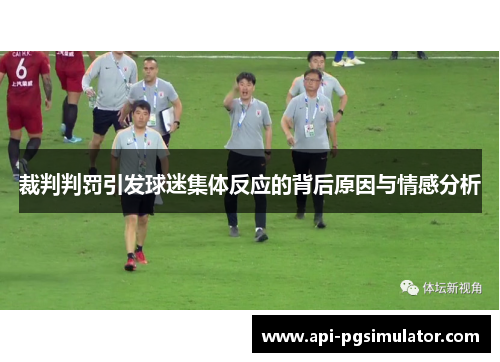 裁判判罚引发球迷集体反应的背后原因与情感分析