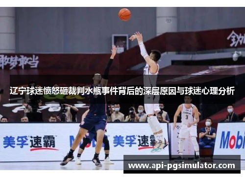 辽宁球迷愤怒砸裁判水瓶事件背后的深层原因与球迷心理分析