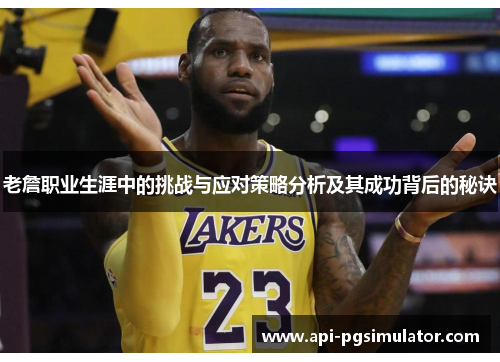 老詹职业生涯中的挑战与应对策略分析及其成功背后的秘诀