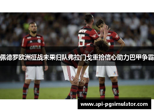 佩德罗欧洲征战未果归队弗拉门戈重拾信心助力巴甲争霸