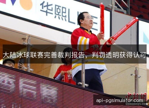 大陆冰球联赛完善裁判报告，判罚透明获得认可
