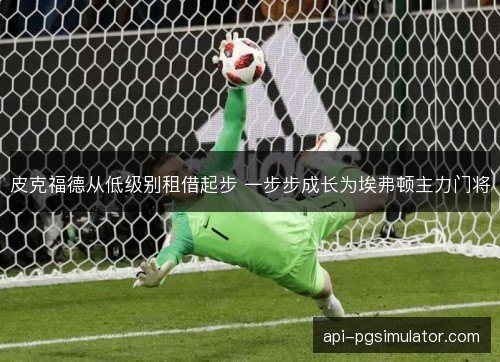皮克福德从低级别租借起步 一步步成长为埃弗顿主力门将